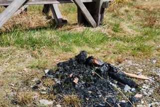 Ať Šumava klidně shoří. Turisté rozdělávají v Národním parku ohniště, kde se jim zachce - Novinky